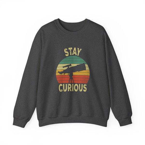 Stay Curious Sweatshirt